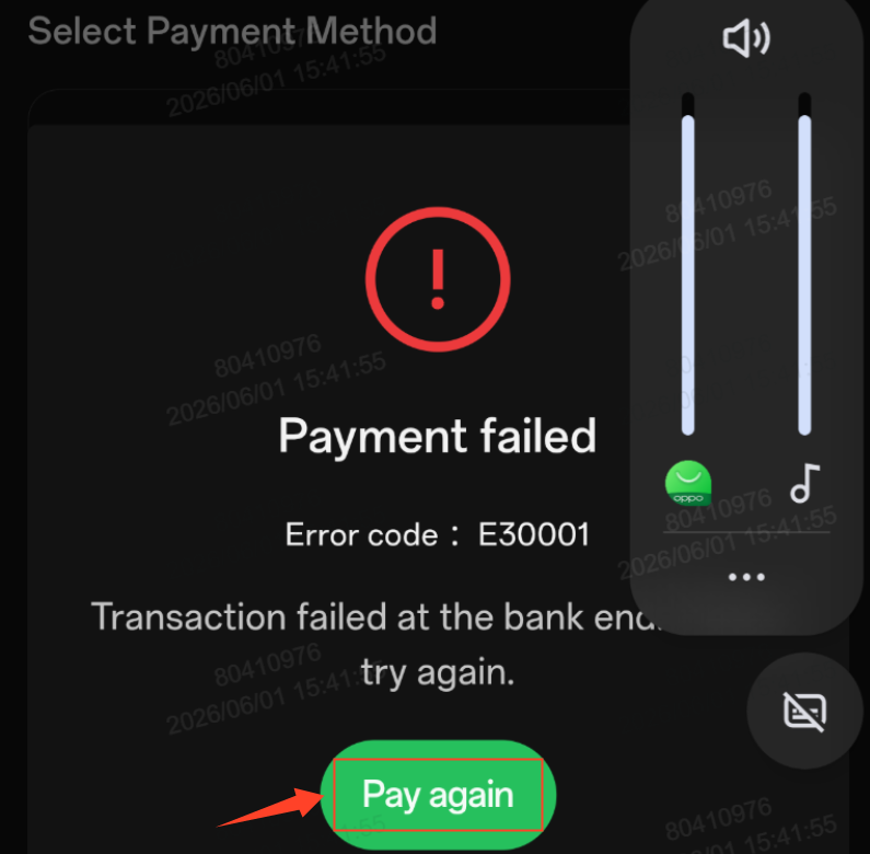 Payment