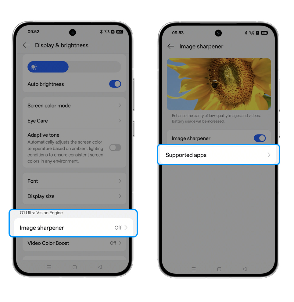 O1 vision support apps