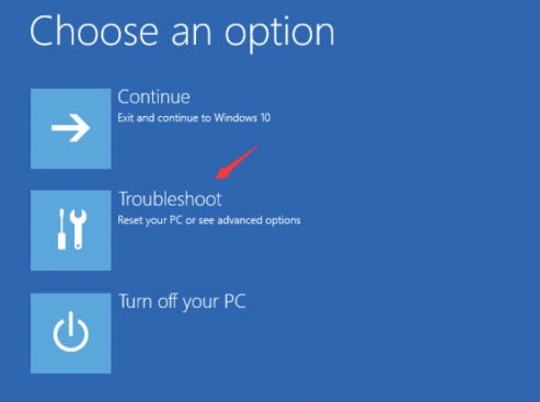 Choose an Option 