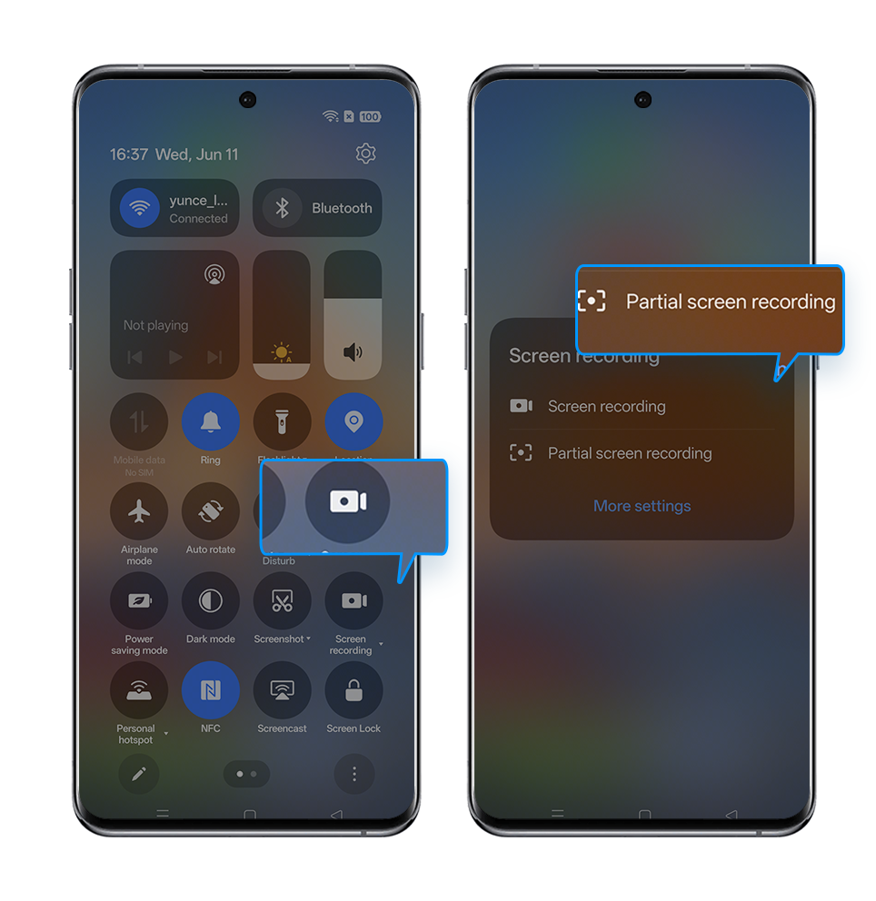 Partial Screen Recording