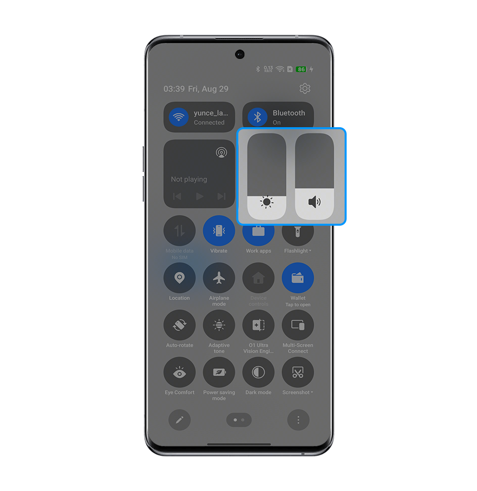 Adjust brightness and volume 