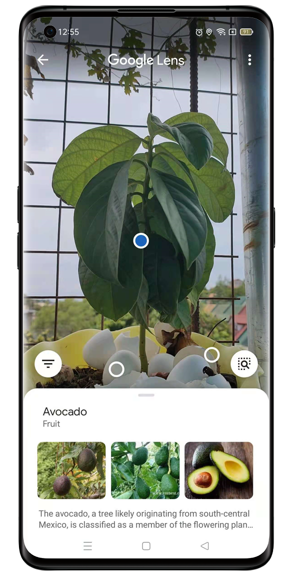 8 Scan a plant you want to identify.png