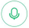 Google Assistant Microphone Icon