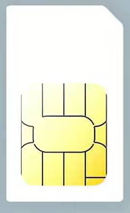 Standard SIM Card