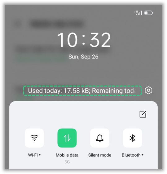 How to check daily mobile data usage