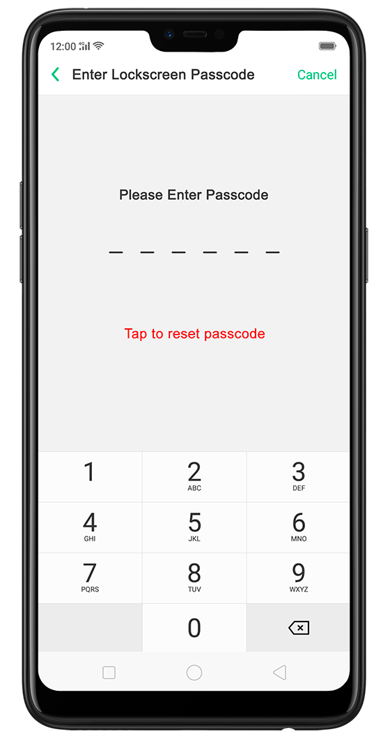 Enter Passcode