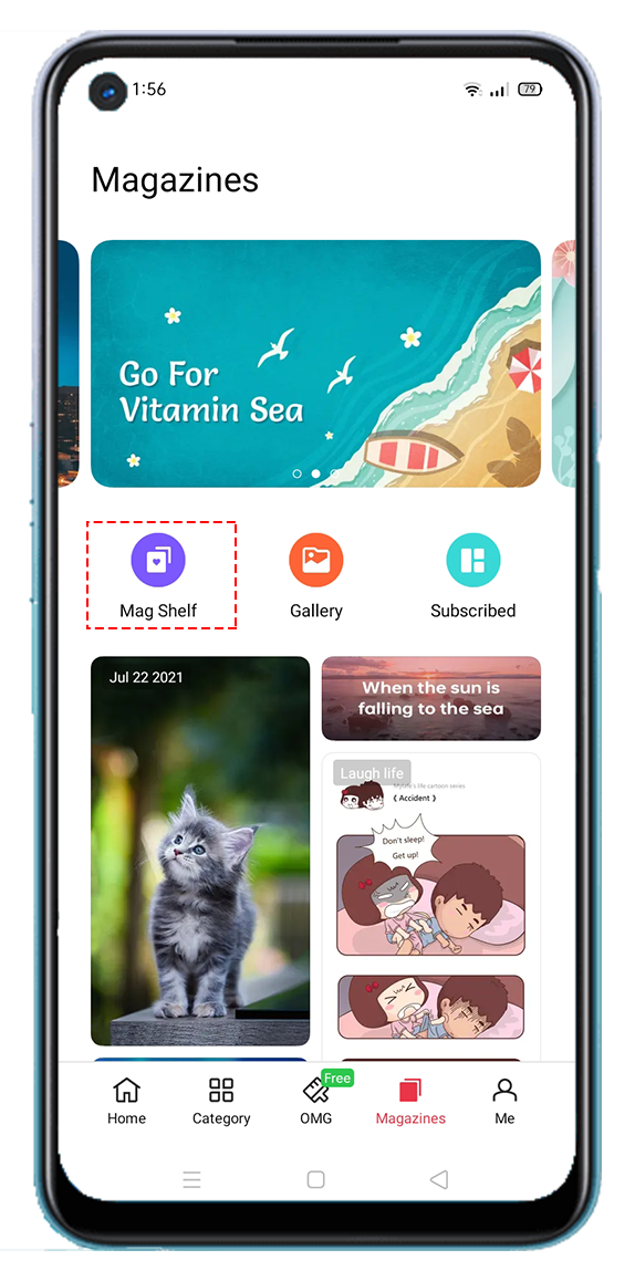 Theme Store Mag Shelf